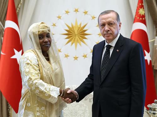 Présentation des lettres de Créance de l’Ambassadeur du Niger en Turquie